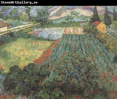 Vincent Van Gogh Field with Poppies (nn04)